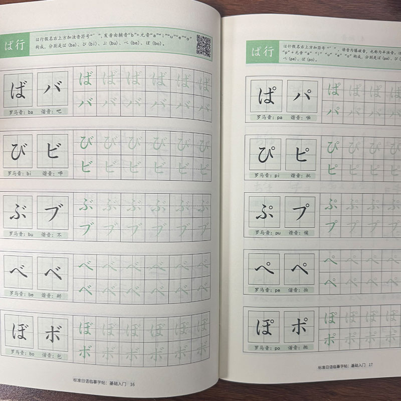 Japanese Hiragana & Katakana P - огляд і ціна Chinese Calligraphy Practice Book